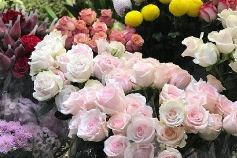 Beautiful Flowers 